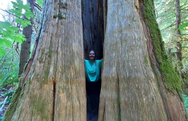 Excursión al Monte Santa Helena - Foto 7