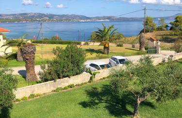 Aloni Studios and Apartments - Photo 1