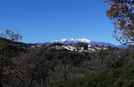 Le Micocoulier - Foto 23