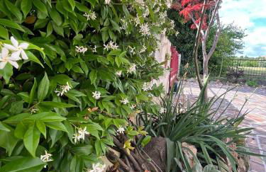 Appartamento Camera'n Montegrotto Terme - Photo 14