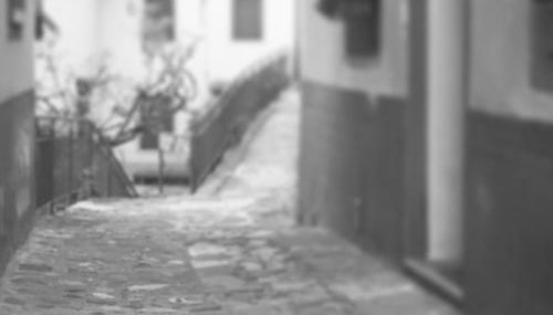 Il Gatto Nero - Foto 2