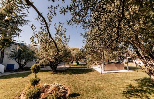 Cyclades Luxury Studios - Foto 52