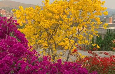 Chácara da Dinda - Photo 55