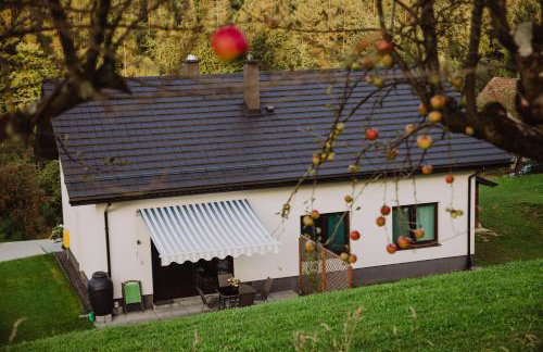 Dom Świerszczem Głośny - Foto 20