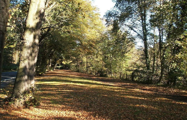 Larkhall Burn - Foto 15