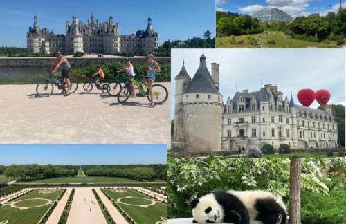 Gîte Les 4 Terres - Maison 1 chambre - Foto 17