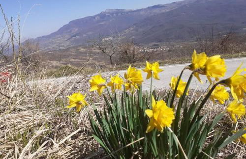 La Casa di Romeo - Foto 13