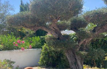 Jávea Villa entière piscine et cuisine d'été à pinosol - Foto 13