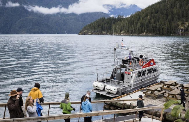 Bute Grizzly - Foto 3