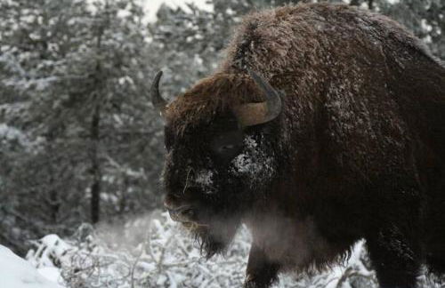 Gîte au calme pleine nature près d'un ruisseau - Foto 43
