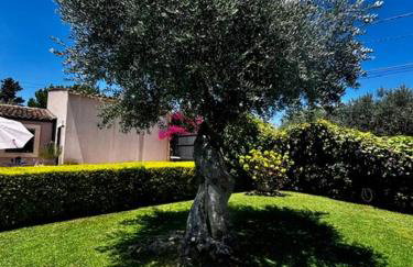 Il Baglio del Picchio - Noto - Foto 10