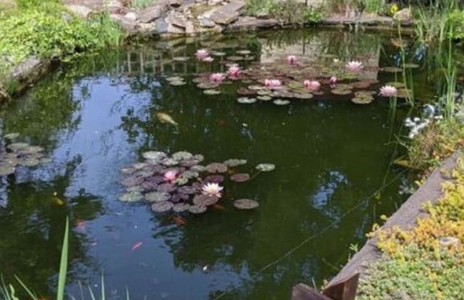 Amazing Apartment in North Rhine-westphalia - Foto 30