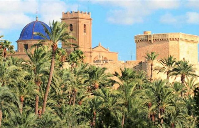 Balcon de Lomas La Mata Torrevieja - Foto 36