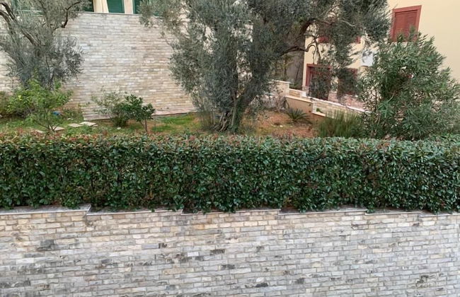 Apartments Petrovac - Foto 38