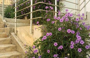 Avra 1 modern seaview home - Foto 15