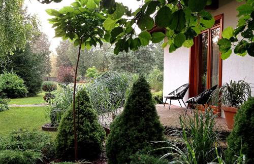 Siedlisko Gruszki Puszcza Białowieska - Foto 49