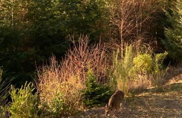 The Loft at Log Ness - Foto 28