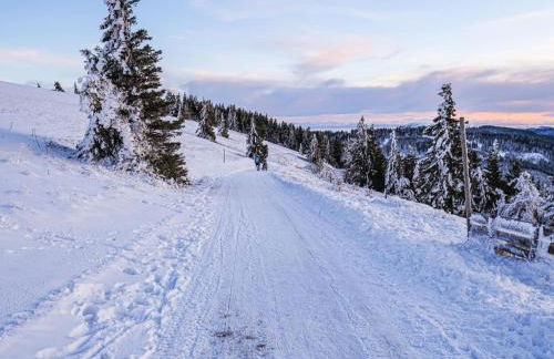 Apartment Lufs Loft für 6 Pers by Interhome - Foto 25