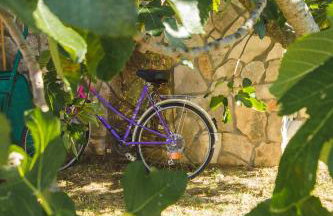 Apartmani Alic - Foto 10