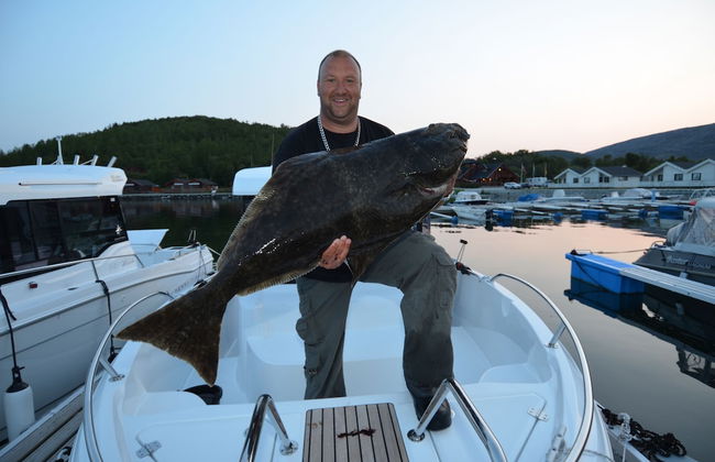 Arctic Seasport - Foto 49