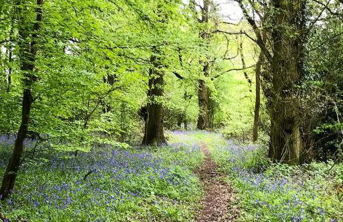 Holders Cottage - Foto 17