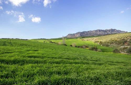 Family Stay with Private Pool - Foto 31