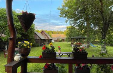 Dom na skraju Puszczy Białowieskiej - Foto 9