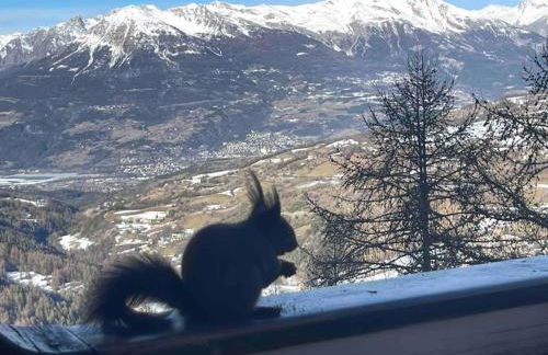 Studio Cosy les Orres 1650 - Photo 8