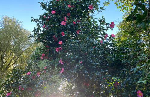 Merrivale Barn - Foto 30