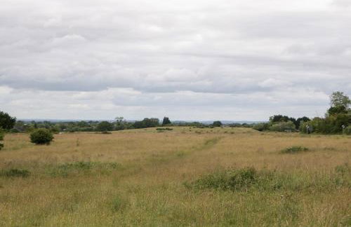 The Turbles - Wagtail - Foto 23