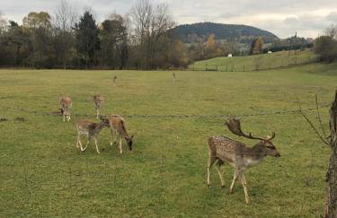 Florynka 50 - Exclusive Mountain House - Photo 16