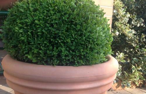 Casale el galet - Foto 27