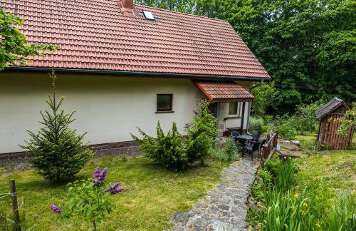 Jaworowy Stok z widokiem na góry i ogrodem - Foto 3