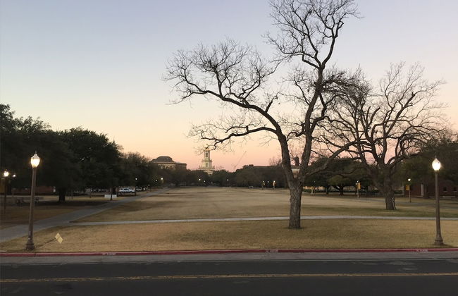 Casablanca Waco - Photo 31