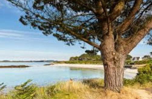 Gîte entre Mer et Abers - Foto 23