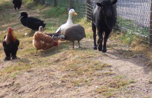 Schnurrenhof - Foto 32