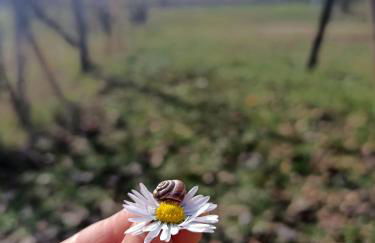 RossoMattone CountryHouse - Foto 12