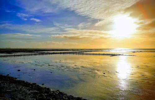 Ferienwohnungen am Wattenmeer - Foto 63