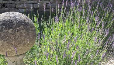 Church Cottage Barn - Photo 2