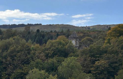 Carmona Bank - Foto 32