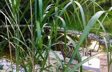 Studio Luise - Foto 18