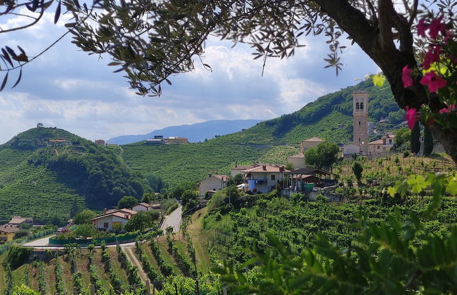 AGRITURISMO B&B CASA BORTOLIN - Foto 32