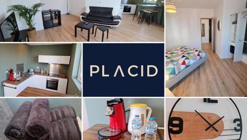 Le Scottman House - Appartement 45 m² centre Arras - Photo 2