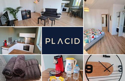 Le ScottmanHouse - Appartement privé - Centre ville - Gare - Wi-Fi - Foto 2