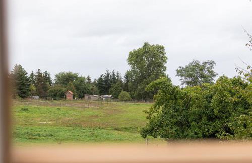 Sonnenblume_DH - Foto 14