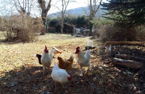Les Favouilles, le gîte pour 15 personnes - Foto 12