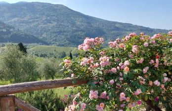 La Fornella dell'Anita - Foto 18