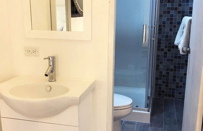 Gladiolas 2104 - Foto 10