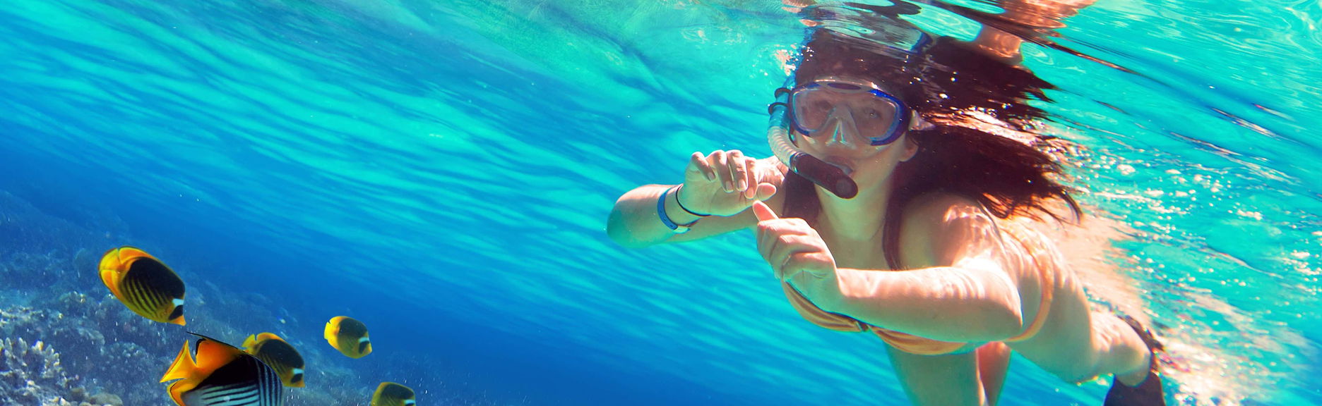 Snorkeling sur l'Isla de Enmedio