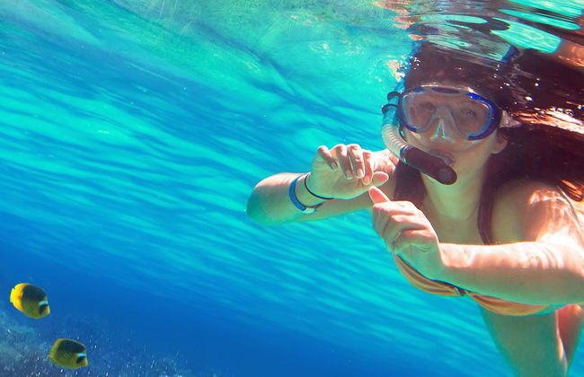Snorkeling sur l'Isla de Enmedio - Photo 1